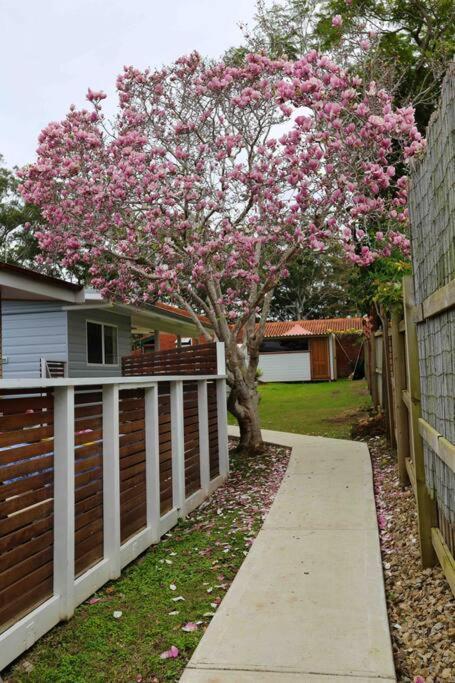 Magnolia Cottage Coffs Harbour Exterior photo